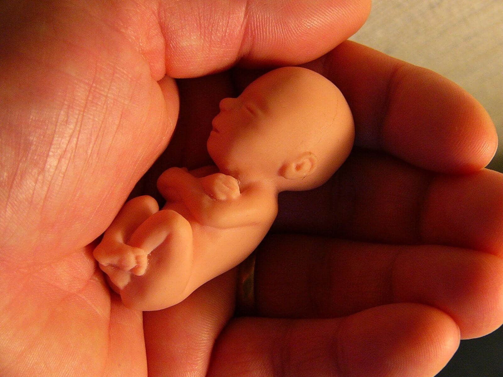 Aborto: A maldição que pende sobre nós