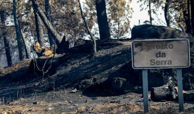 O «negócio» dos incêndios